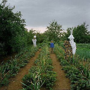 The scarecrows guard the strawberry and garlic beds.