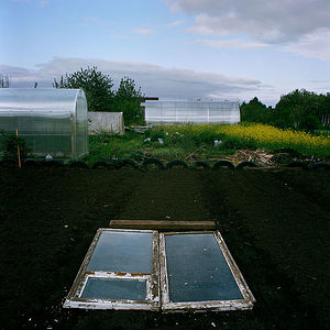 An old window frame with glass serves as a greenhouse for seedlings.