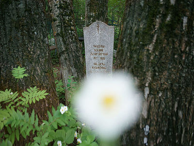 A grave monument and a flower.